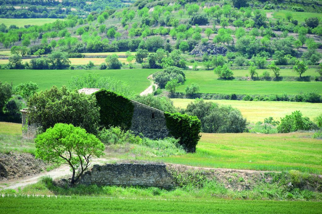 Hostal Palouet De Segarra エクステリア 写真